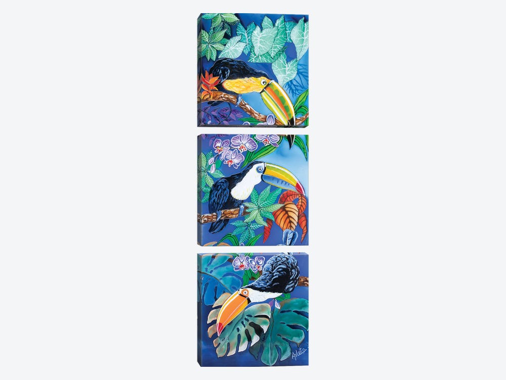 Three Toucans by Arleta Smolko 3-piece Canvas Wall Art