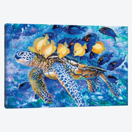 Turtle And The Fishes Canvas Print #ASL29} by Arleta Smolko Canvas Artwork