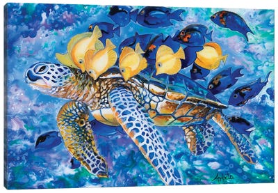 Turtle And The Fishes Canvas Art Print - Arleta Smolko