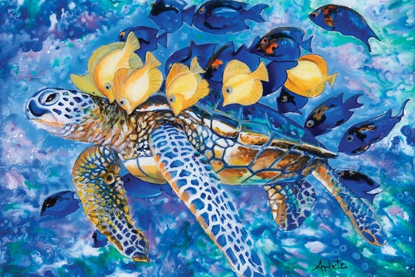 Arleta Smolko: Turtle And The Fishes by Arleta Smolko