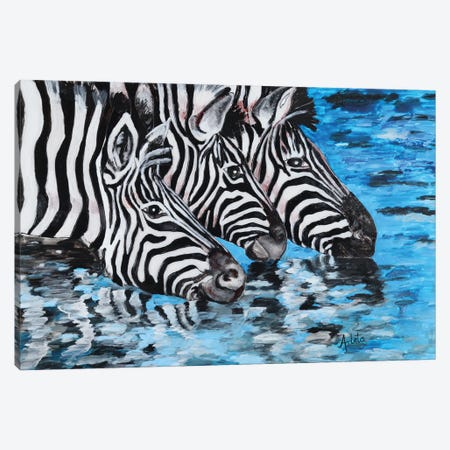 Drinking Zebra Canvas Print #ASL43} by Arleta Smolko Canvas Art