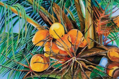 Coconuts by Arleta Smolko framed canvas print