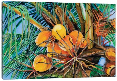 Coconuts Canvas Art Print - Arleta Smolko