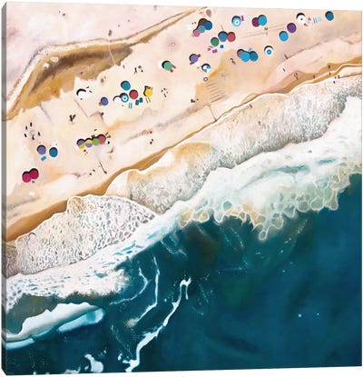 Long Island Beach Canvas Art Print - Aerial Beaches 