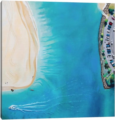 Noosa Beach Canvas Art Print - Aerial Beaches 