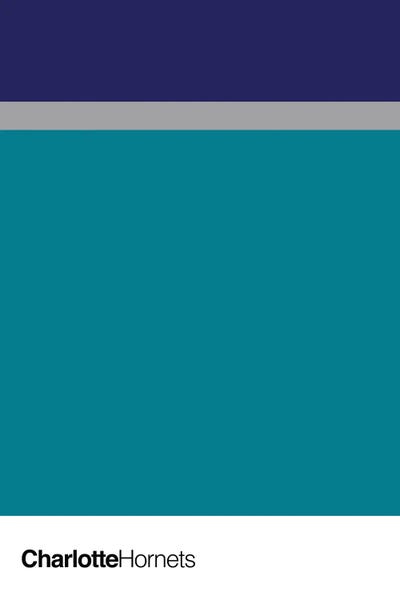 avesix: Charlotte Hornets Basketball by avesix