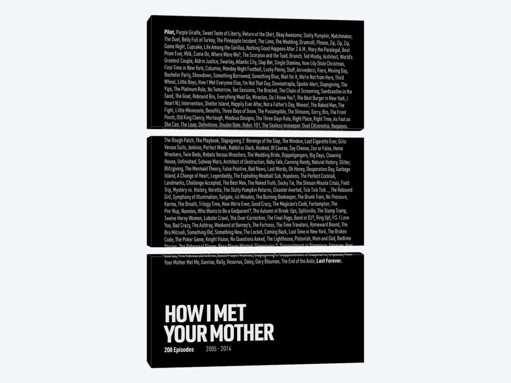 How I Met Your Mother Episodes (Black) by avesix 3-piece Art Print