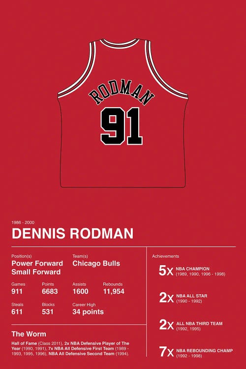 Dennis Rodman Career Stats by avesix wall art