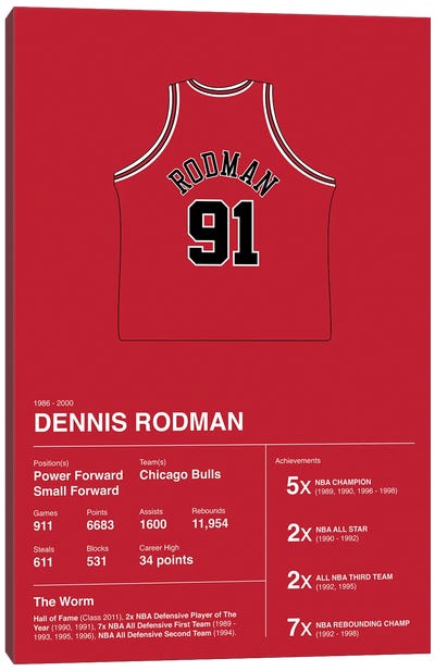 Dennis Rodman Career Stats Canvas Art Print - Basketball Art