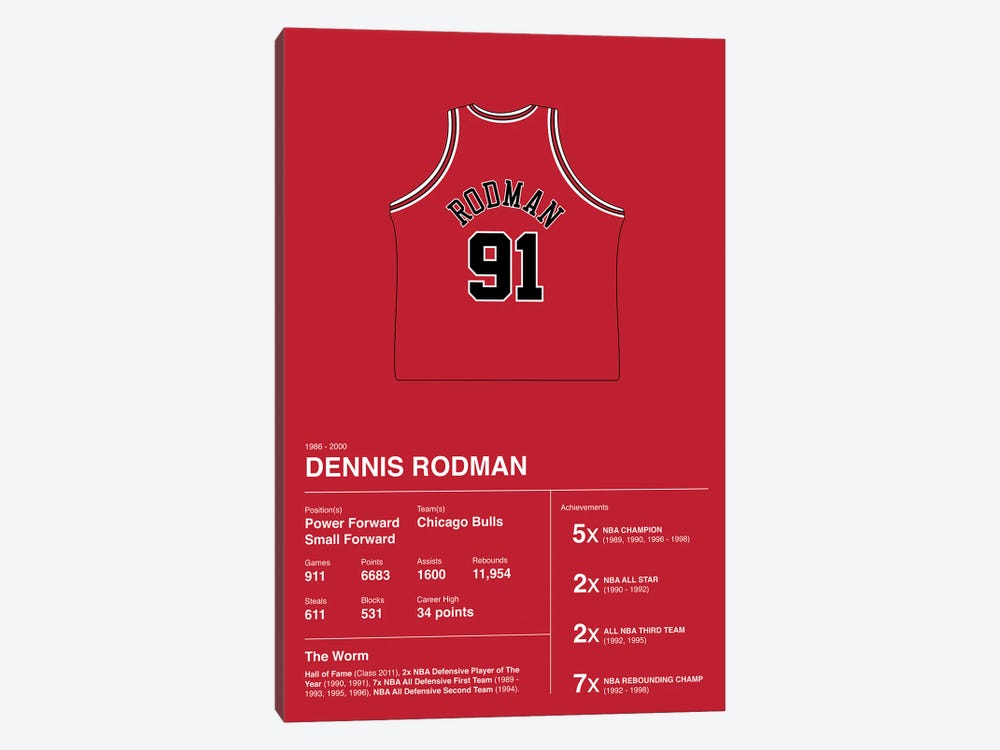 Dennis Rodman Career Stats by avesix 1-piece Canvas Art Print