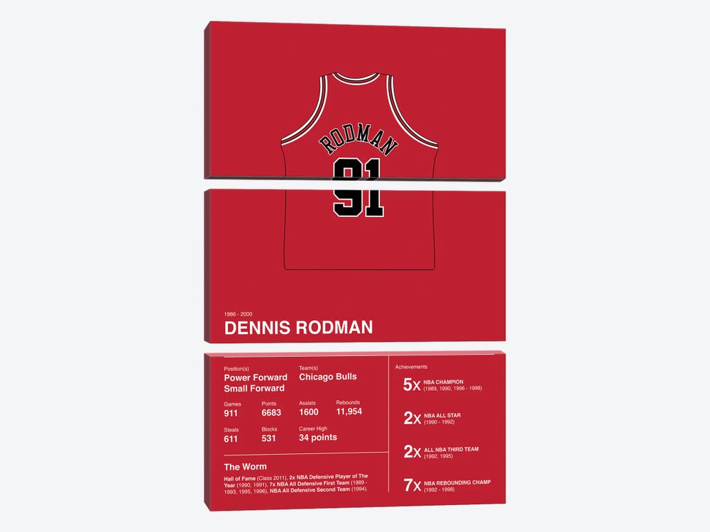 Dennis Rodman Career Stats by avesix 3-piece Art Print