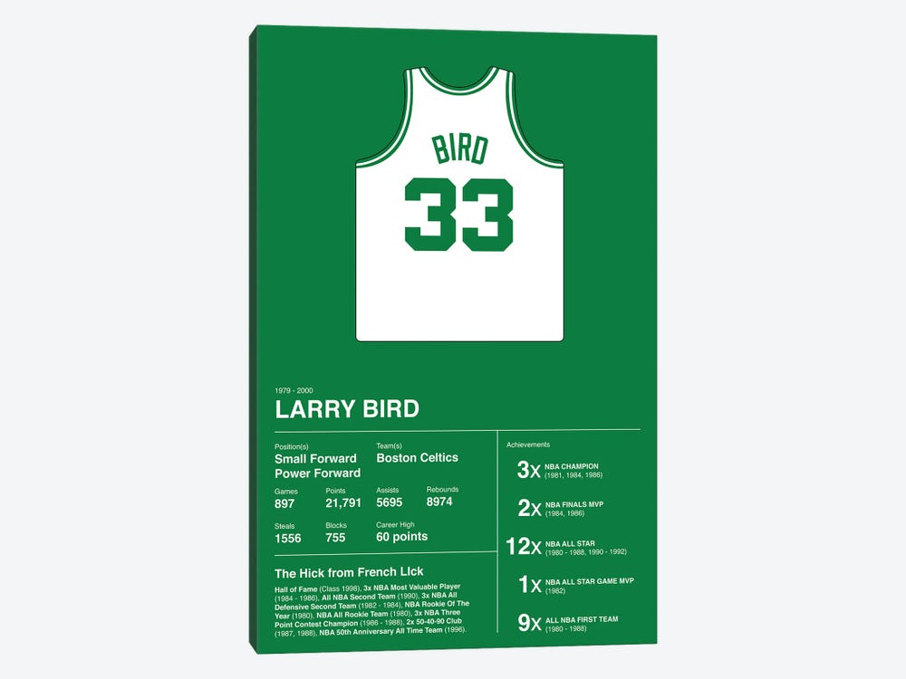 Larry Bird Career Stats by avesix 1-piece Canvas Print