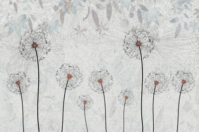 Dandelions