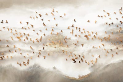 Horizon by Artsy Bessy art print