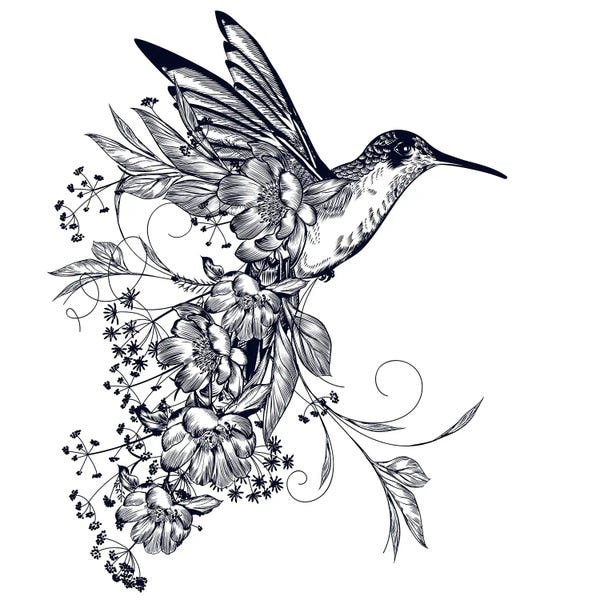 Black & White Florals: Hummingbird by Artsy Bessy