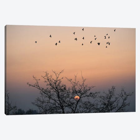 Beautiful Sunset Canvas Print #ASY72} by Artsy Bessy Canvas Wall Art