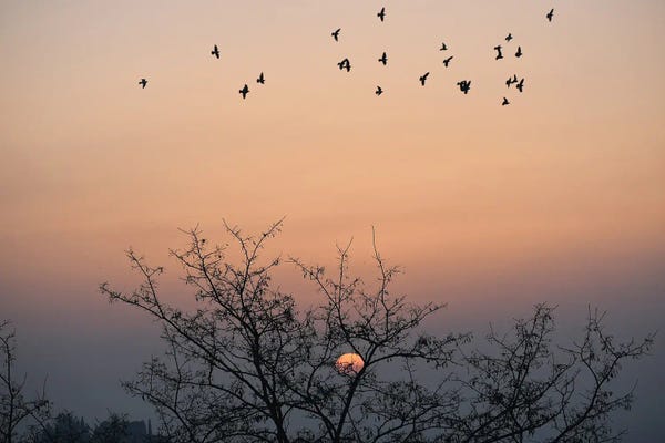 Beautiful Sunset