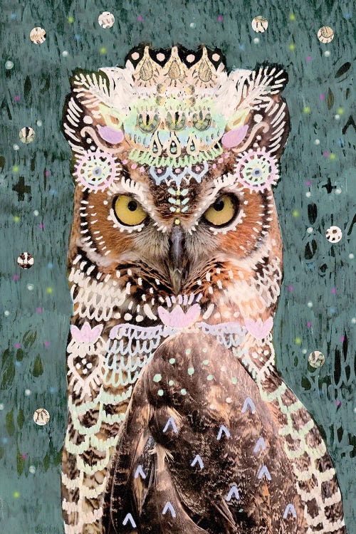 Lalita Owl
