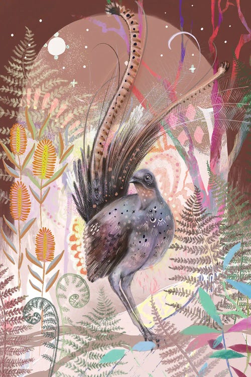 Lyrebirds Song