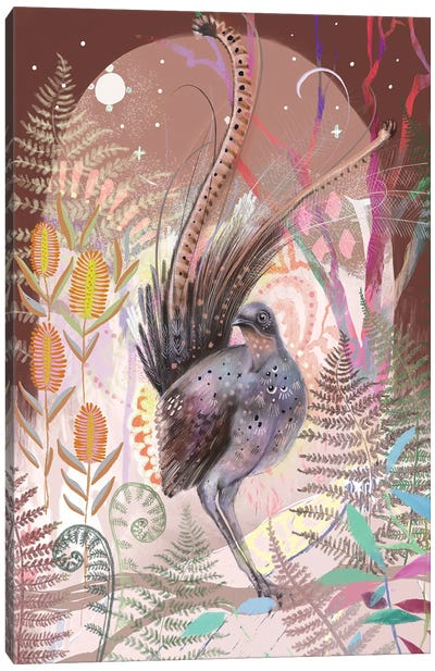 Lyrebirds Song Canvas Art Print - Amber Somerset