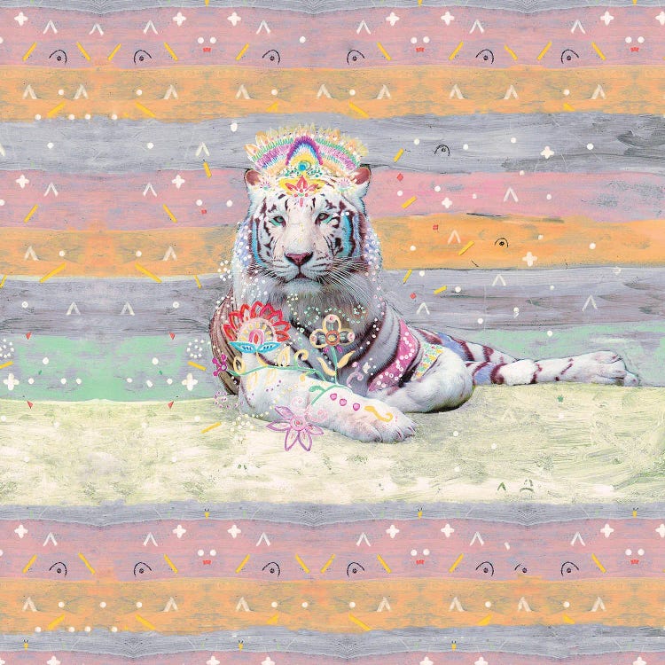 Mishka The White Tiger