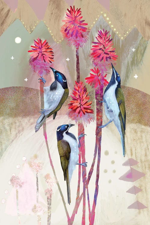 Native Honeyeaters