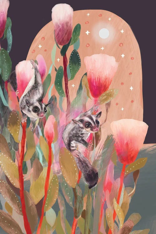 Sugar Gliders
