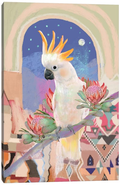 Suplhur Crested Cockatoo Canvas Art Print - Cockatoo Art