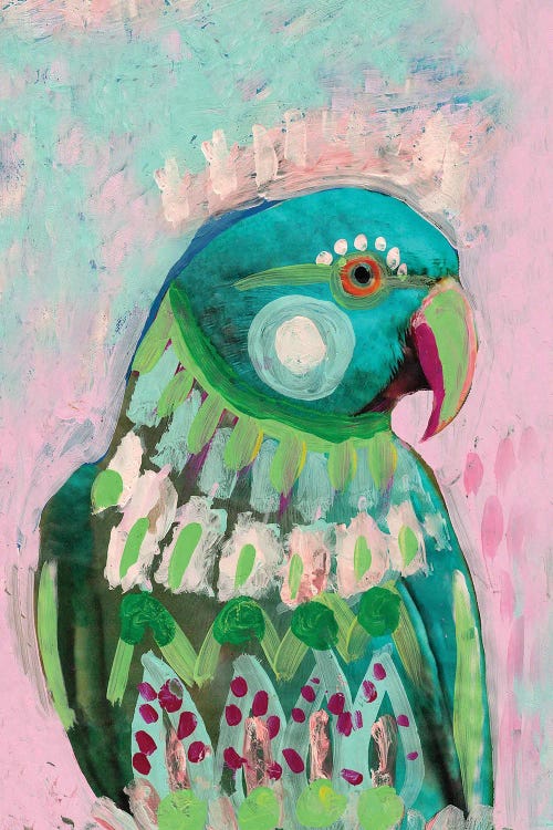 Bakula Parrot