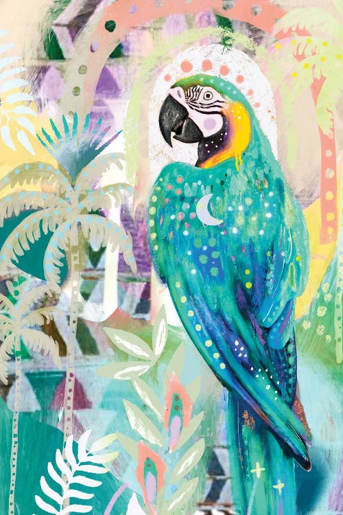 Tropical Macaw