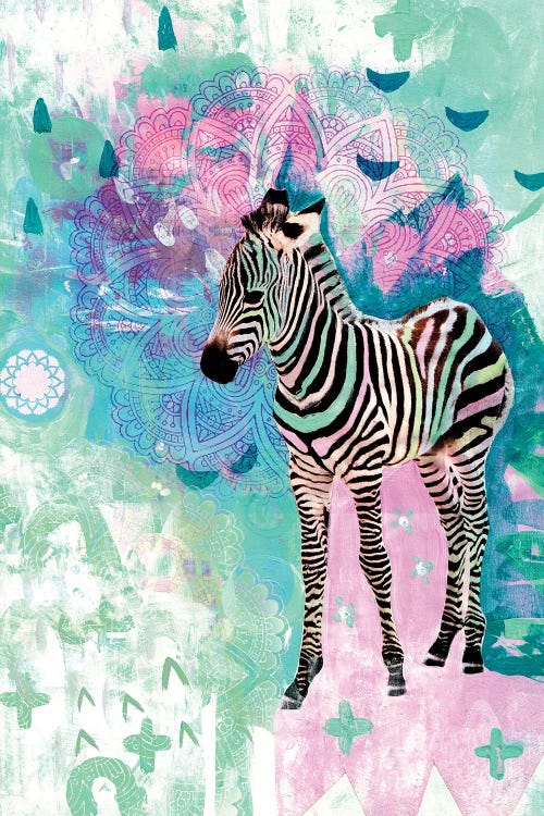 Zira The Zebra