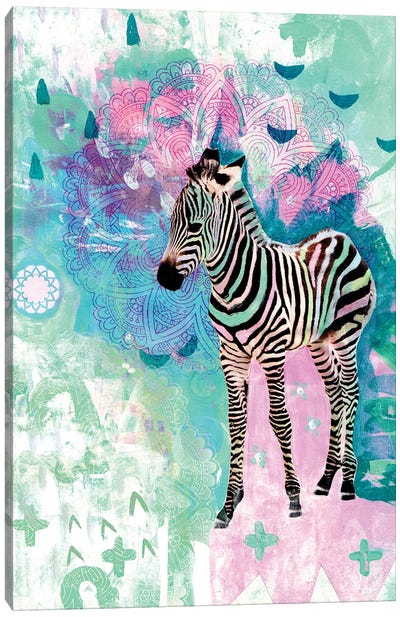 Zira The Zebra Canvas Art Print - Amber Somerset