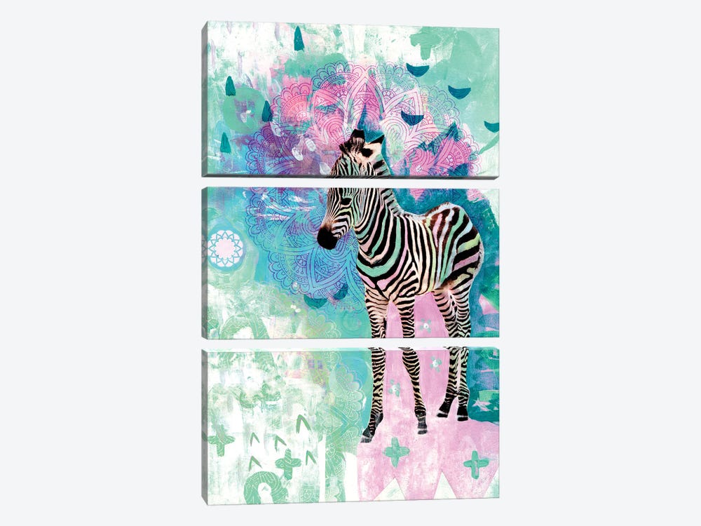 Zira The Zebra by Amber Somerset 3-piece Canvas Wall Art