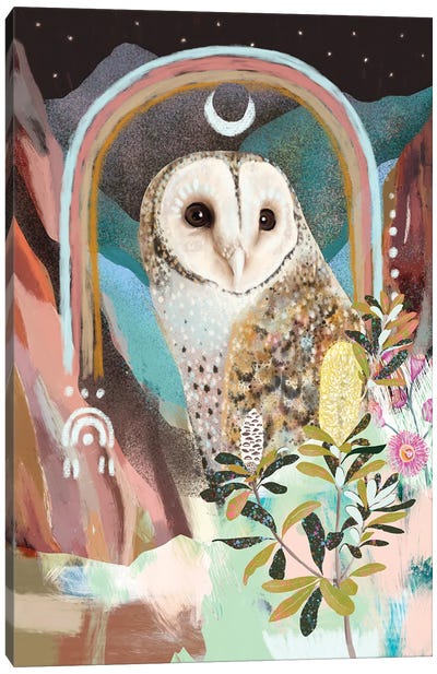 Australian Masked Owl Canvas Art Print - Amber Somerset