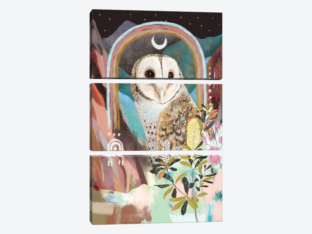 Australian Masked Owl by Amber Somerset 3-piece Canvas Art