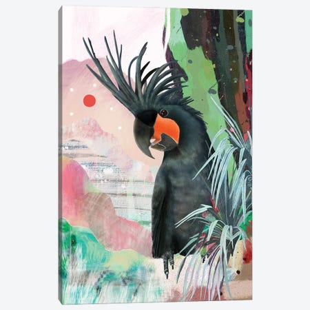 Black Palm Cockatoo Canvas Print #ASZ3} by Amber Somerset Canvas Wall Art