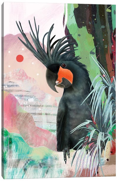 Black Palm Cockatoo Canvas Art Print - Amber Somerset