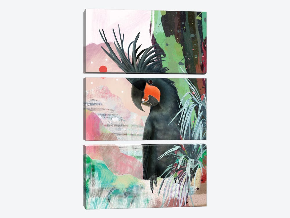 Black Palm Cockatoo by Amber Somerset 3-piece Canvas Art Print
