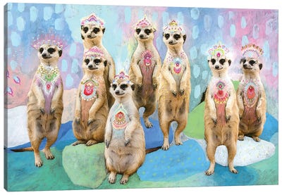 Carnivale Meerkats Canvas Art Print - Amber Somerset