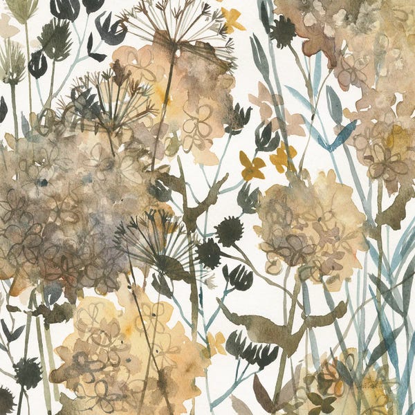 January Flowers