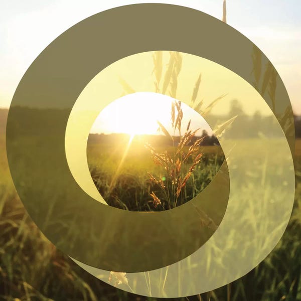 Abstract Photography: Circular Infinity by 5by5collective