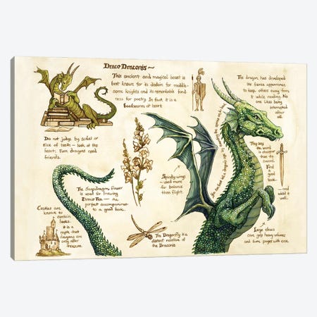 Draco Draconis Canvas Print #ATD12} by Astrid Sheckels Canvas Artwork