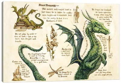Draco Draconis Canvas Art Print - Astrid Sheckels