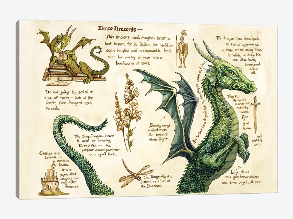 Draco Draconis by Astrid Sheckels 1-piece Canvas Artwork