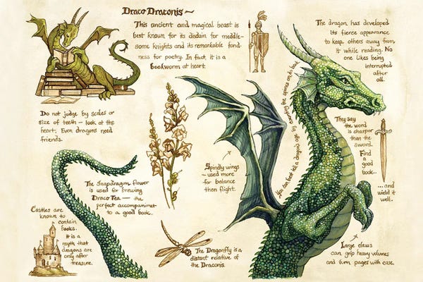 Dragons: Draco Draconis by Astrid Sheckels