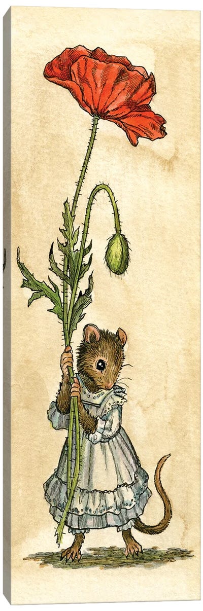 Poppy Mouse Canvas Art Print - Rodent Art