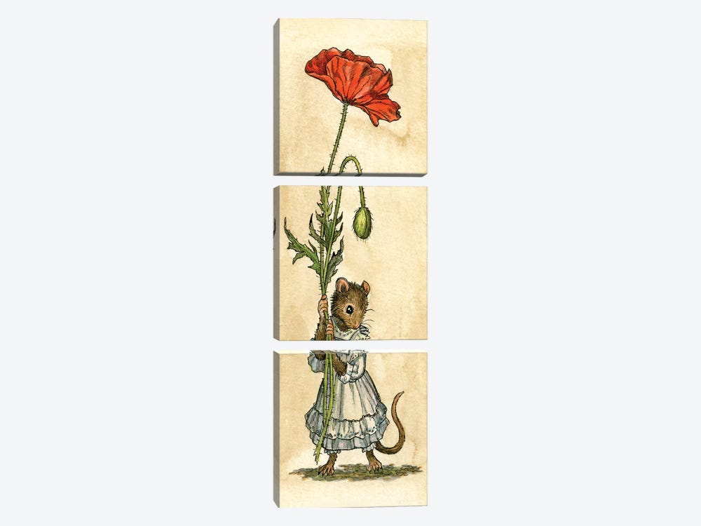 Poppy Mouse by Astrid Sheckels 3-piece Canvas Wall Art