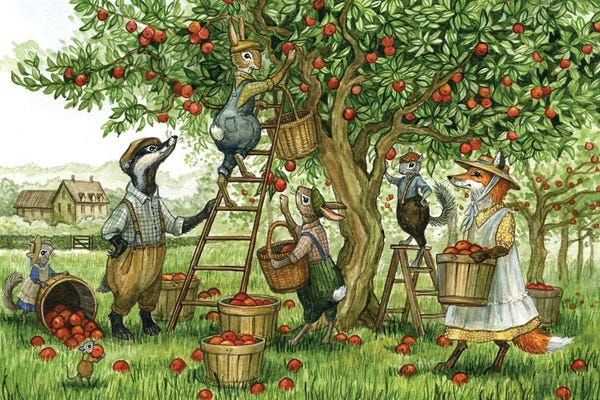 Children's Illustrations: Orchard Harvest by Astrid Sheckels