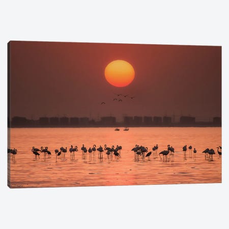 Remarkable Sunset Canvas Print #ATH8} by Ahmed Thabet Canvas Artwork