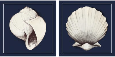 Coastal Shell Diptych with Border Navy